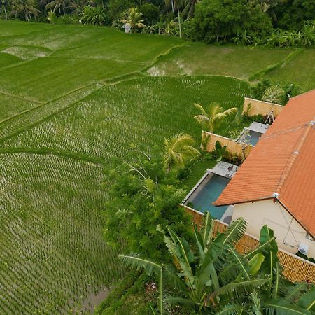 Uma Rimbun Pool Villa By Uniquecations Ubud  Exterior photo